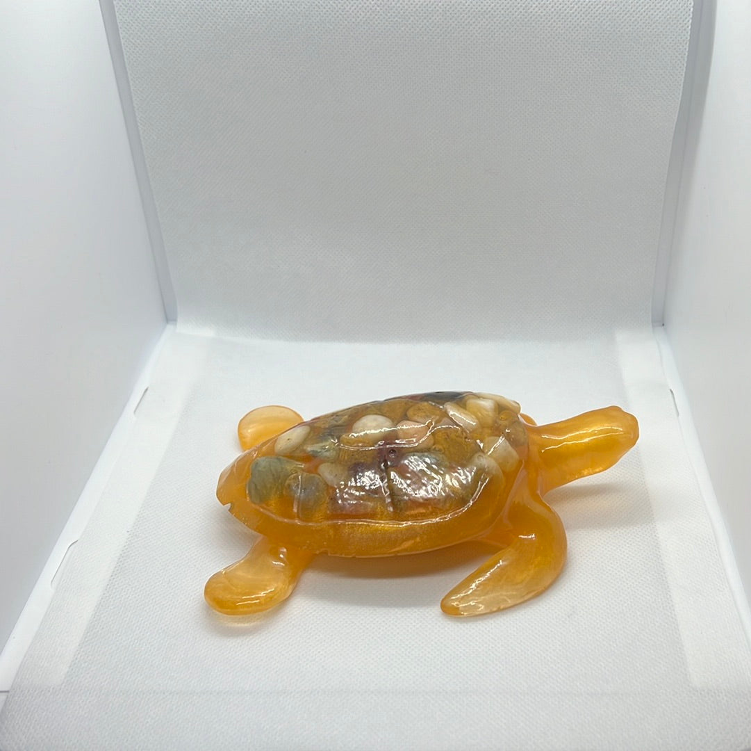 Rockback Sea Turtle
