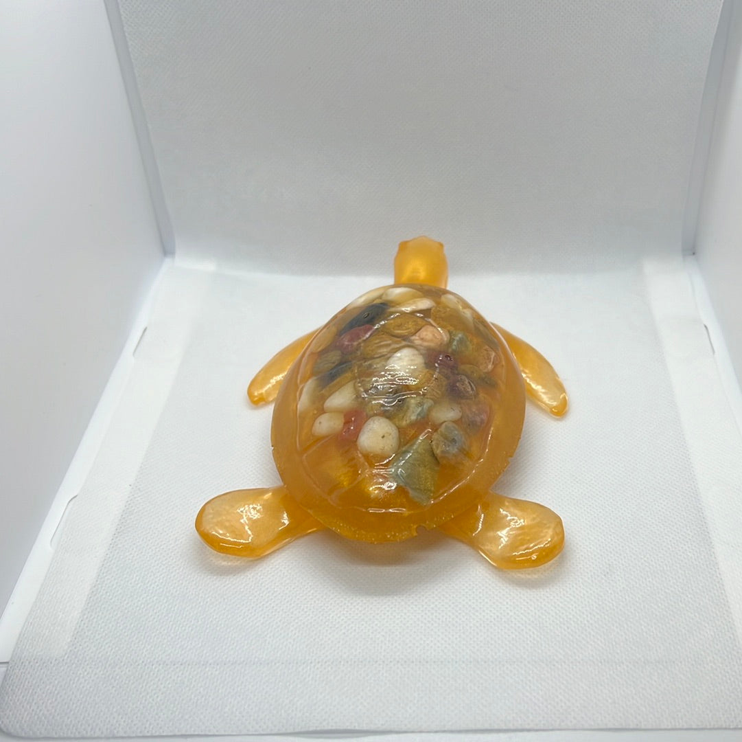 Rockback Sea Turtle