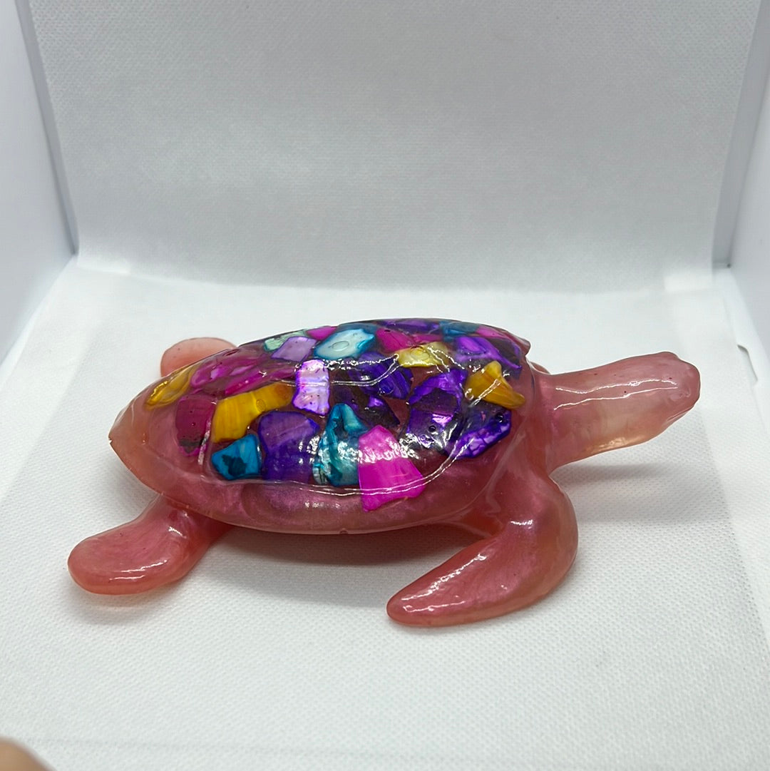 Pink Shellback Sea Turtle